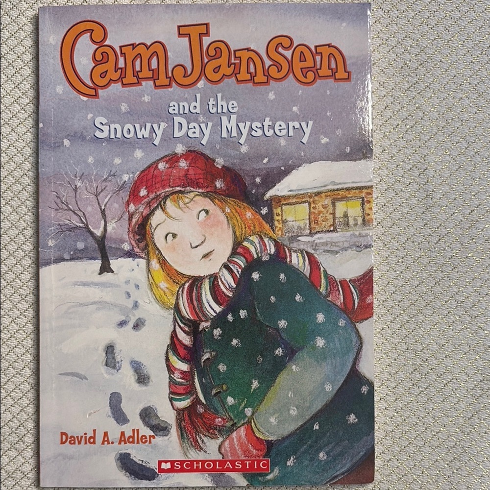 Cam Jansen and the Snowy Day Mystery Book